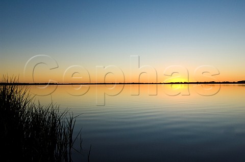 Lake Cargellico at sunrise New South Wales Australia