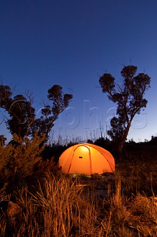 Campsite at dusk Blue Mountains National Park New South Wales Australia