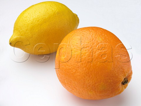 Orange and lemon on a white background