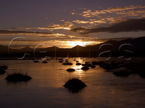 Sunrise over semifrozen lake in the Altiplanica near the Tatio Geysers at an altitude of over 4000 metres in the Atacama Desert Chile