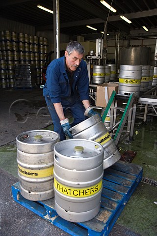 Thatchers Cider Barrels Filled with Cider and Loaded