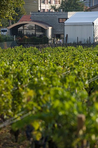 Vineyard and new chai of Chteau La Passion HautBrion at Pessac in the suburbs of Bordeaux Gironde France   PessacLognan  Bordeaux