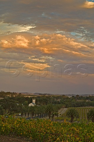 Gnadenfrei Lutheran Church with vineyards of Gnadenfrei and Barossa Valley Estate Marananga South Australia   Barossa Valley