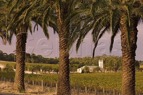 Palm tree lined Seppeltsfield Road with Gnadenfrei Lutheran Church and vineyard of Barossa Valley Estate  Marananga South Australia   Barossa Valley