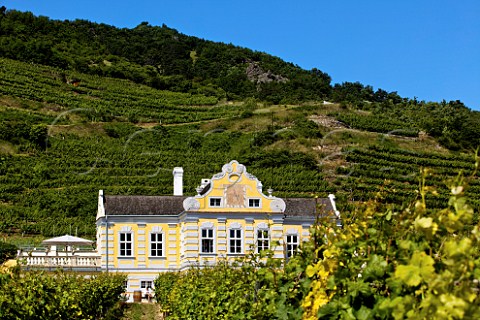 Domne Wachau and its vineyards Drnstein Niedersterreich Austria  Wachau