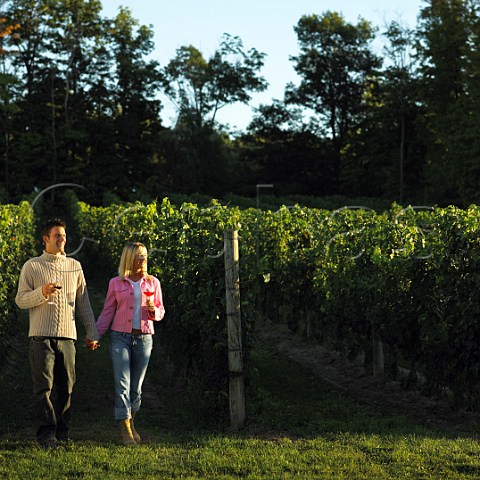 Young couple in vineyard