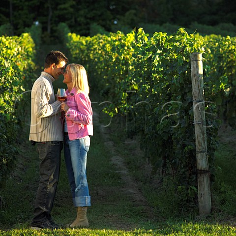 Young couple in vineyard