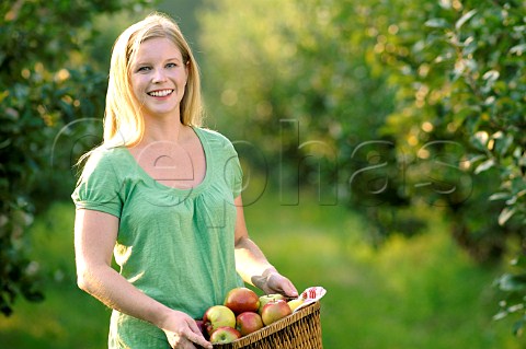 Young woman collecting apples