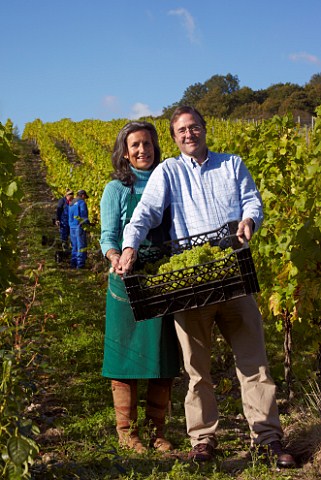 Harry and Pip Goring owners with harvested Chardonnay grapes in Findon Park Vineyard of Wiston Estate on the South Downs near Worthing Sussex England