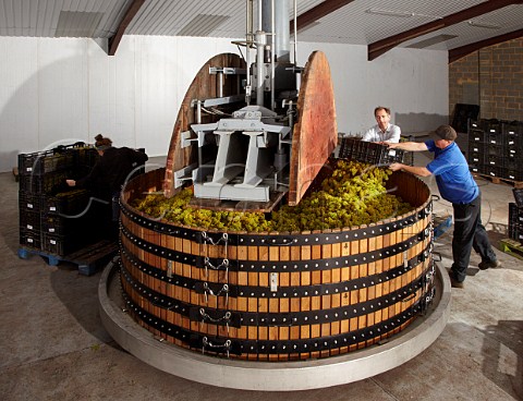 Loading the Coquard press with 4 tonnes of Chardonnay grapes in the winery of Wiston Estate near Worthing Sussex England