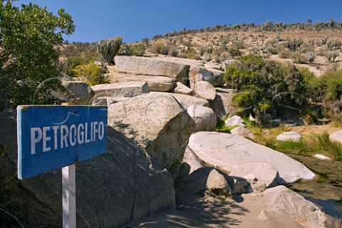 Sign for petroglyphs near Tamaya winery La Serena Chile  Limari Valley