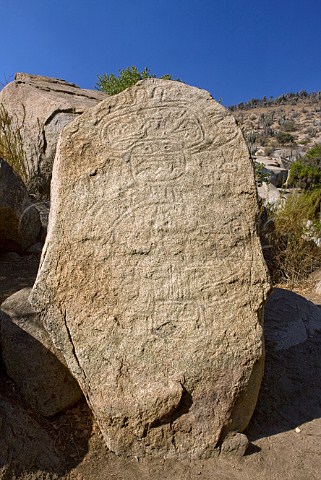 Petroglyph near Tamaya winery La Serena Chile    Limari Valley