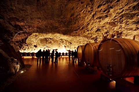 Group of visitors in cellars of the Laimburg winery   Vdena Alto Adige Italy  Alto Adige  Sdtirol