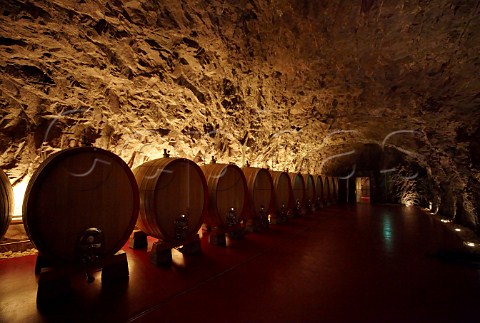 Botti in cellar of the Laimburg winery   Vdena Alto Adige Italy  Alto Adige  Sdtirol