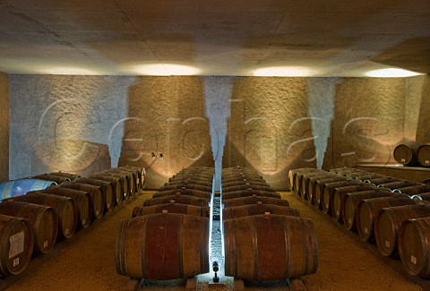 Barrel cellar of Tamaya winery La Serena Chile   Limari Valley