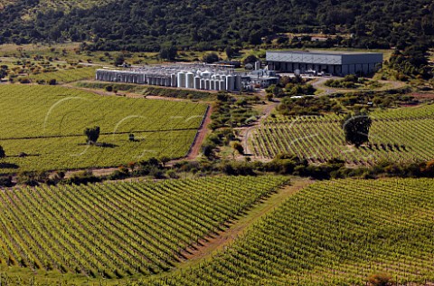 Caliterra winery and vineyards Colchagua Valley Chile