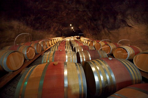 Barrel cellar of the Laimburg winery   Vdena Alto Adige Italy   Alto Adige  Sdtirol