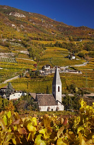 The church of Santa Maddalena amidst the vineyards in the Santa Maddalena Classico zone on the outskirts of Bolzano Alto Adige Italy   Santa Maddalena Classico