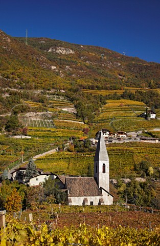 The church of Santa Maddalena amidst the vineyards in the Santa Maddalena Classico zone on the outskirts of Bolzano Alto Adige Italy   Santa Maddalena Classico