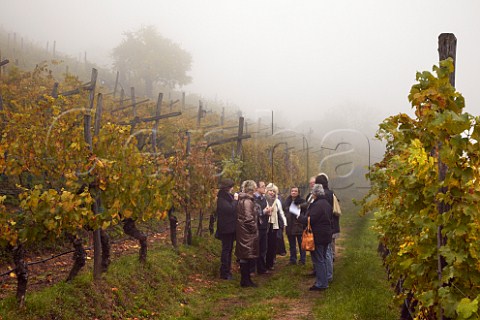 Members of the Circle of Wine Writers with Franz Josef Loacker on a visit to the Schwarhof estate of Loacker on a misty autumn morning    Bolzano Alto Adige Italy  Santa Maddalena Classico