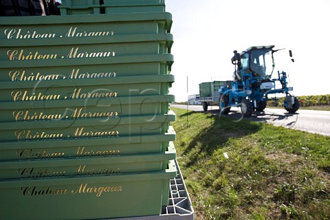 Tractor collecting boxes of harvested grapes at Chteau Margaux Margaux Gironde France Bordeaux  Mdoc