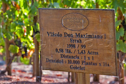 Syrah sign in Errazuriz Don Maximiano vineyard Panquehue Chile  Aconcagua Valley