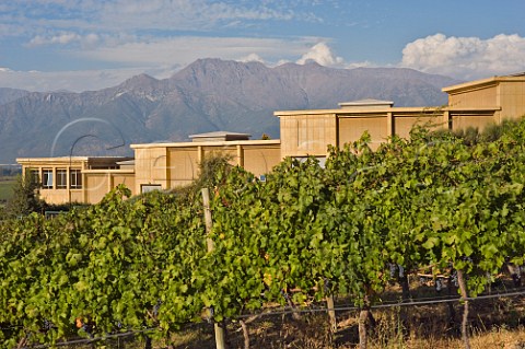 Andes Mountains behind Haras de Pirque winery Pirque Maipo Valley Chile  Maipo Valley