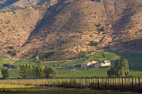 Foothills of the Andes mountains overlooking Haras de Pirque winery Pirque Maipo Valley Chile  Maipo Valley