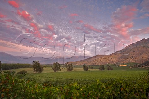 Red tinted clouds over Chardonnay vineyard of Haras de Pirque Pirque Maipo Valley Chile  Maipo Valley