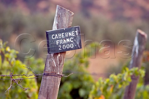 Cabernet Franc sign in vineyard of Haras de Pirque Pirque Maipo Valley Chile