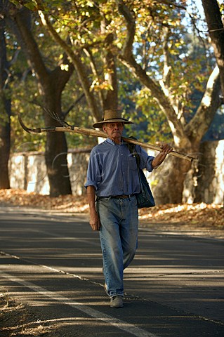 Man walking home after a day clearing ditches  Maipo Valley Chile
