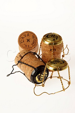 Cava sparkling wine corks Spain