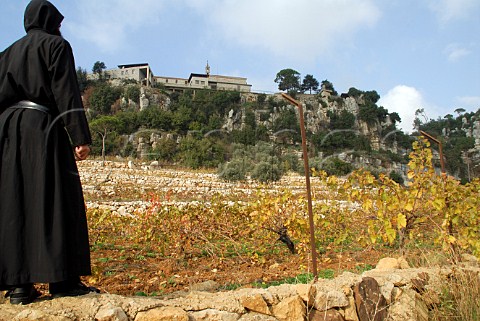 Monk in vineyard below Mar Moussa monastery Lebanon