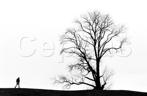 Winter walk at Avebury Wiltshire England 