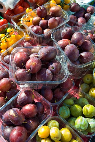 Plums on sale at a Farmers Market Thornbury Gloucestershire England