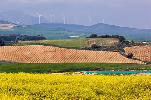 Wind turbines in the foothills of the Sierra Cantabria viewed over vineyard near Elvillar Alava Spain Rioja Alavesa