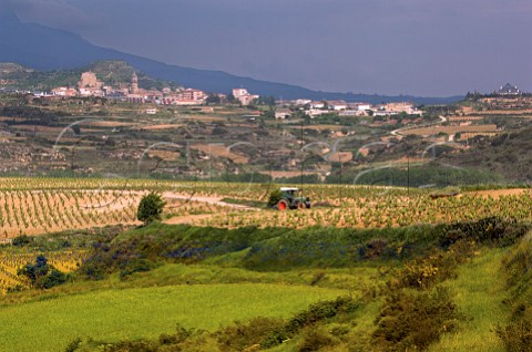 Ploughing vineyard with tractor at Labastida  Alava Spain   Rioja Alavesa