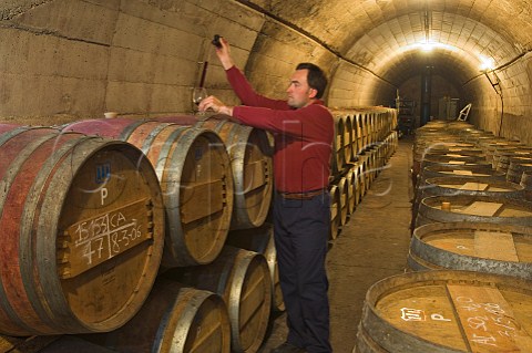 Albert Llopart taking sample of Gran Sangre de Toro from barrel room in cellars of Torres Pacs del Peneds Catalonia Spain