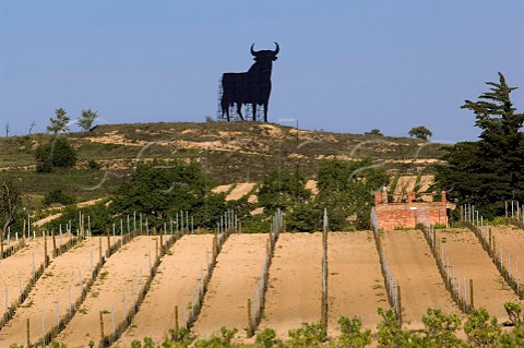 Osborne bull on ridge above vineyard near Briones La Rioja Spain  Rioja Alta