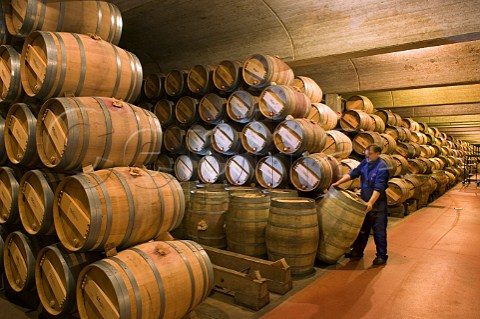 Worker moving barrel in cellar of Bodegas Muga Haro La Rioja Spain