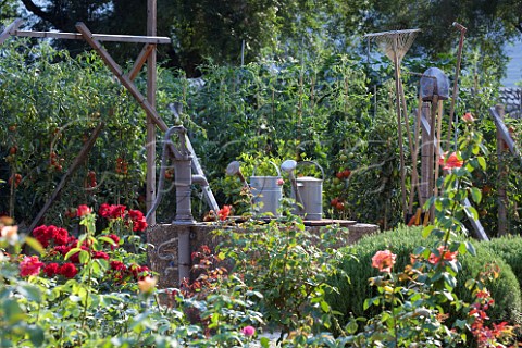 Kitchen garden of San Leonardo winery Borghetto allAdige Avio Trentino Italy