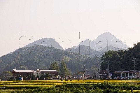 Rice fields and mountains at Nakatsu Oita Japan