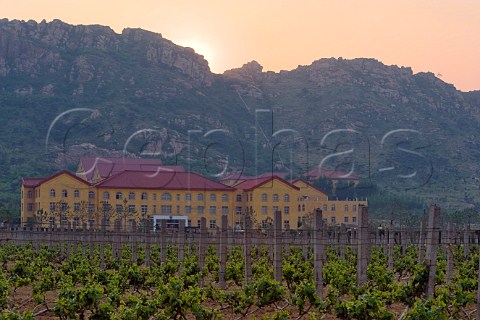 Bodega Langes Vineyard and Winery Hebei Province China Asia