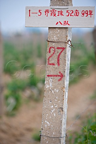 Row end sign in vineyard of Bodega Langes Chang li Chang Li Hebei Province China