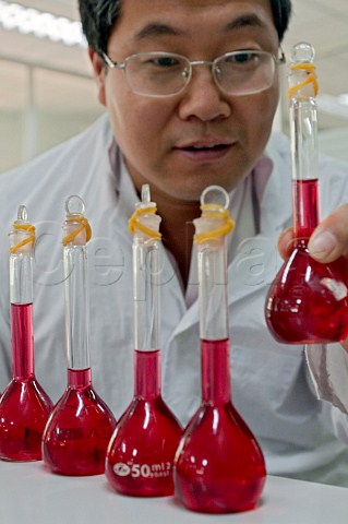 Chemist with flasks at Chateau Sun God winery owned by China Great Wall Wine Co Ltd located in Shacheng Huailai County Hebei Province China Asia