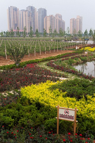 Large apartment buildings next to garden and vineyard of Chateau ChangyuCastel Yantai Shandong Province China