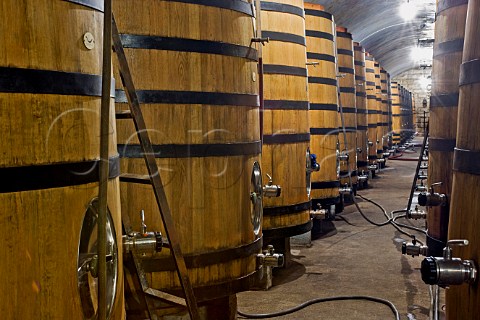 Large fermentation barrels in the old cellar at Changyu winery Yantai Shandong Province China