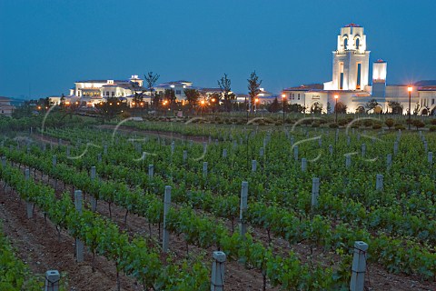 Evening view of vineyard and Chateau Junding winery Penglai Shandong Province China