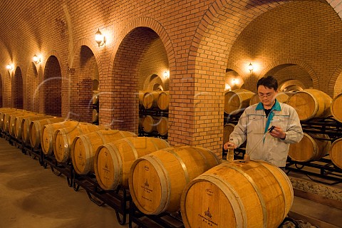 Assistant winemaker taking sample in barrel cellar at Chateau Junding winery near Penglai Shandong Province China