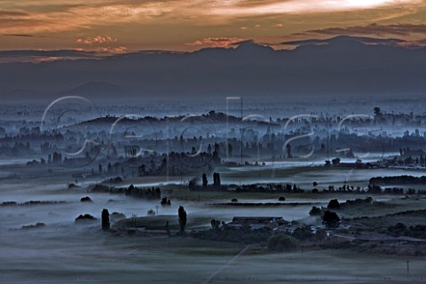 Early morning mist near San Javier in the Maule Valley with dawn breaking over the Andes mountains Chile